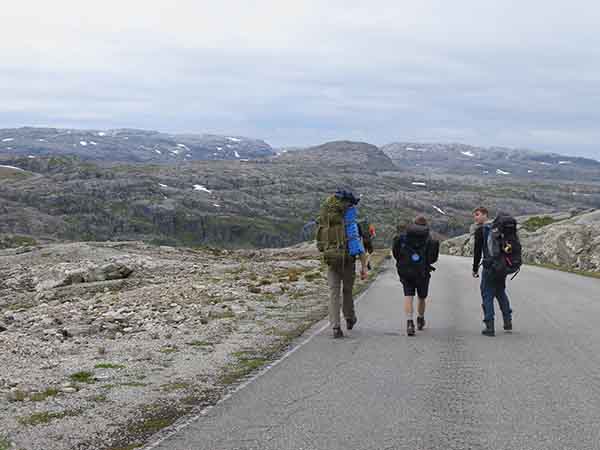 Image description