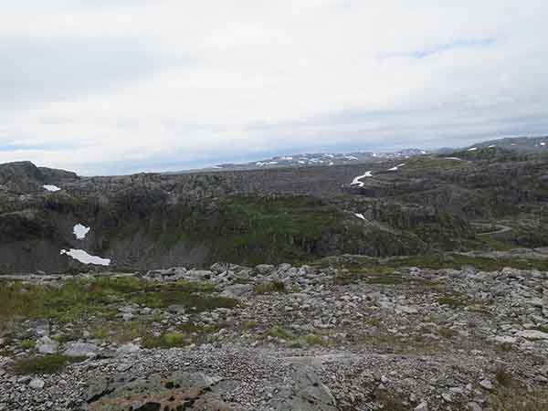 Image description