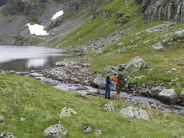 Image description