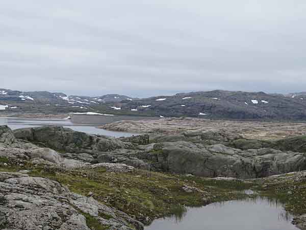 Image description