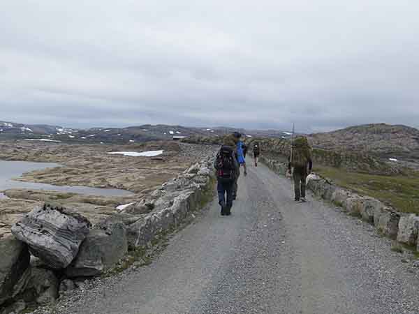 Image description