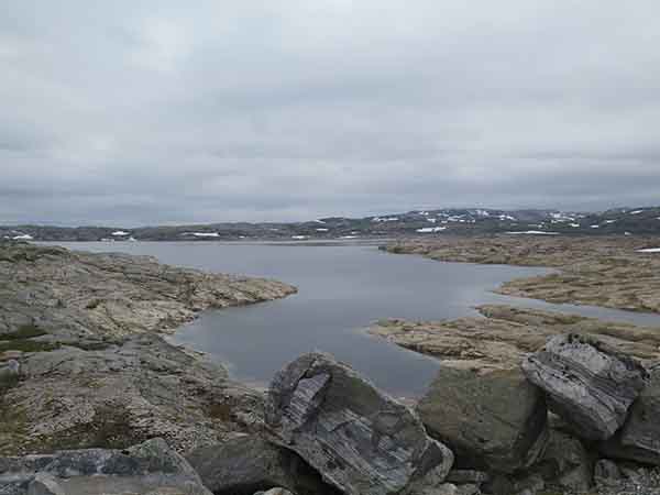 Image description