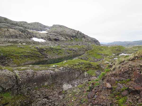 Image description
