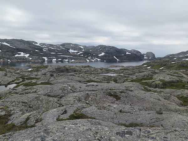 Image description