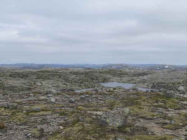 Image description