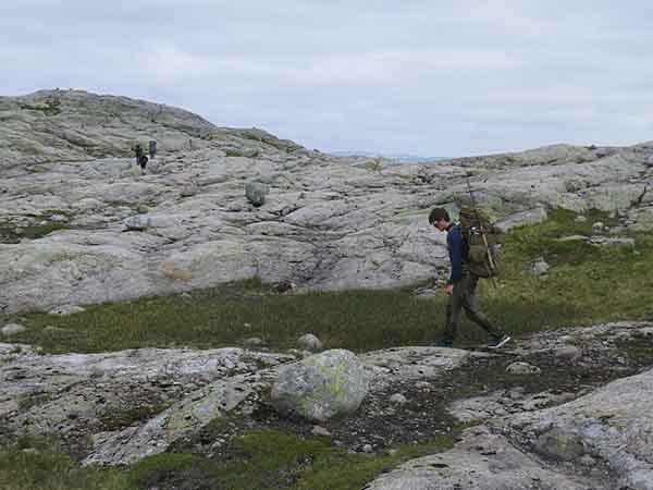 Image description