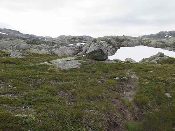 Image description