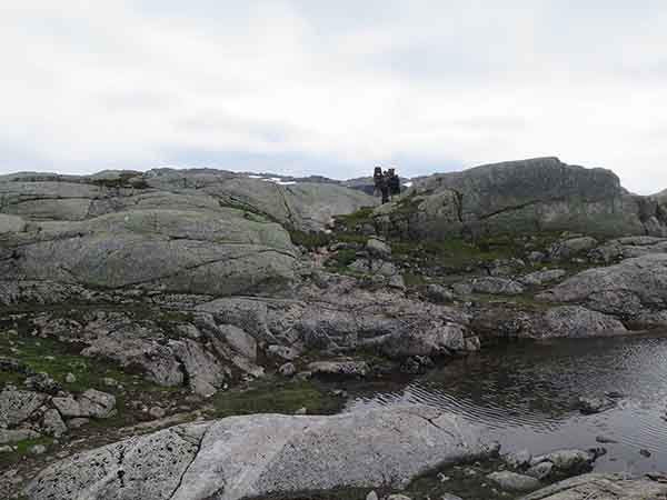 Image description