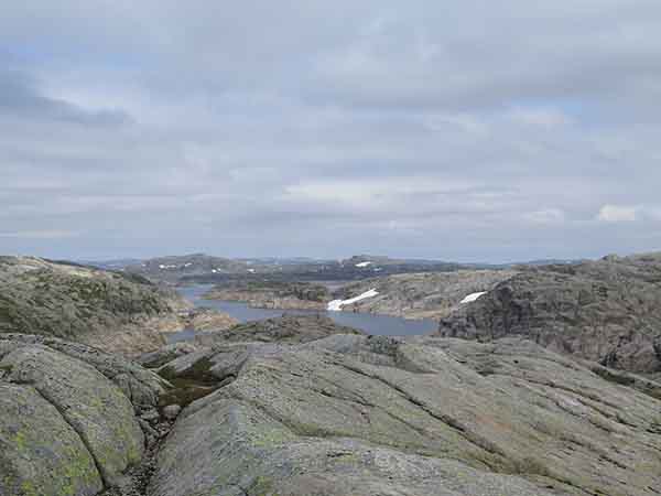 Image description