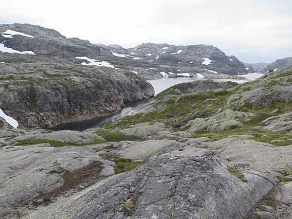Image description
