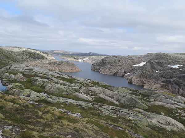 Image description