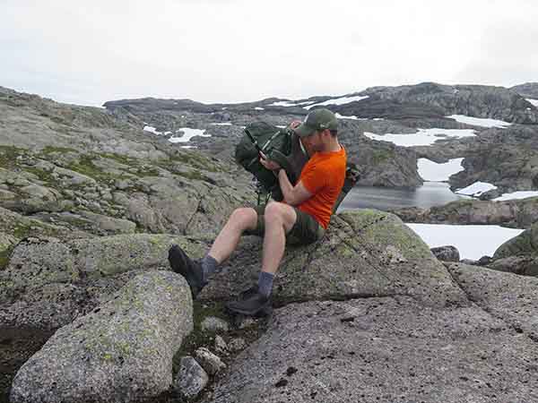 Image description