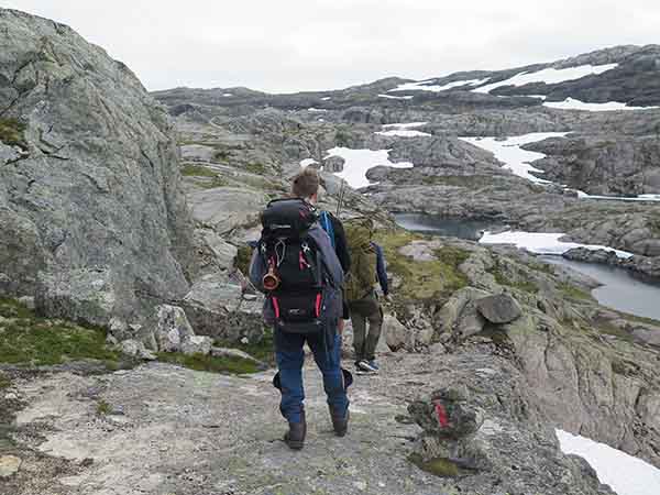Image description
