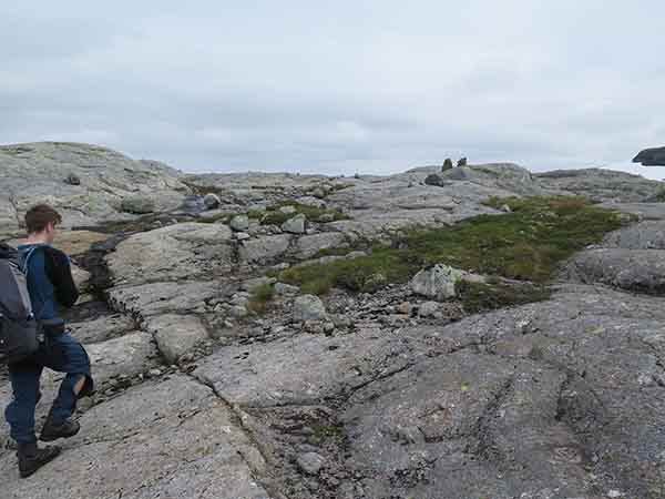 Image description