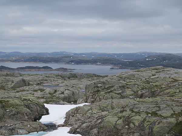 Image description