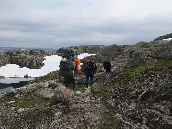 Image description