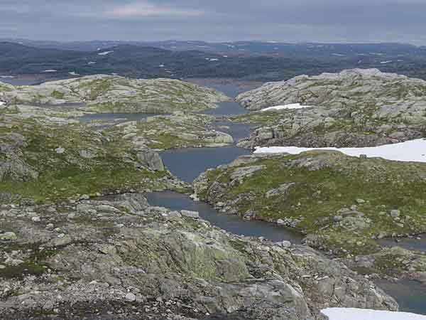 Image description
