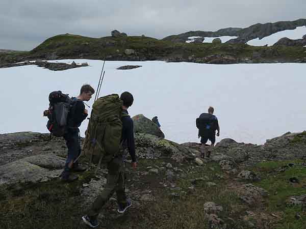 Image description