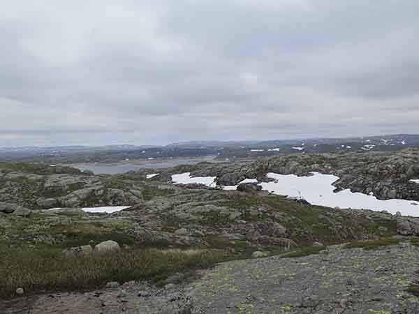 Image description