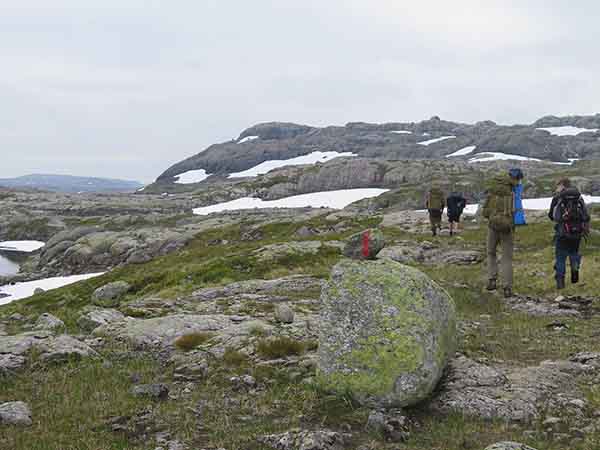 Image description