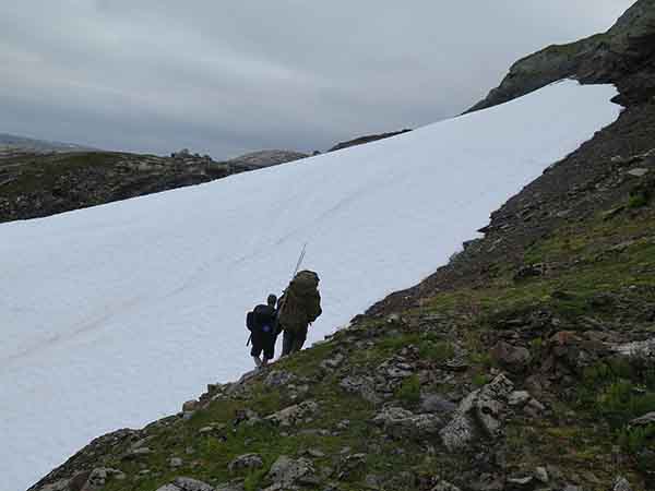 Image description