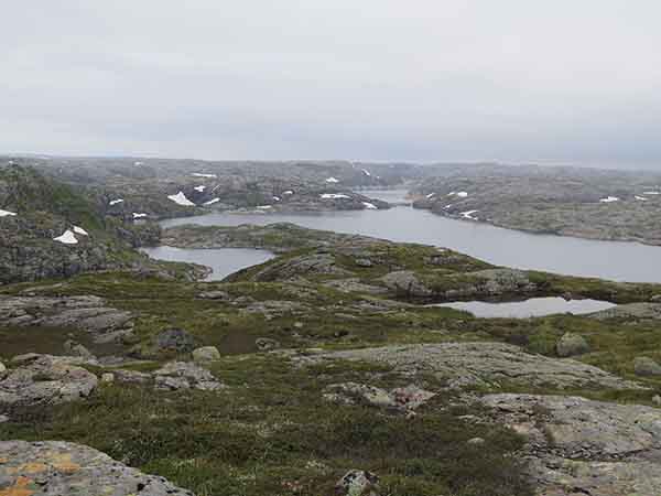 Image description