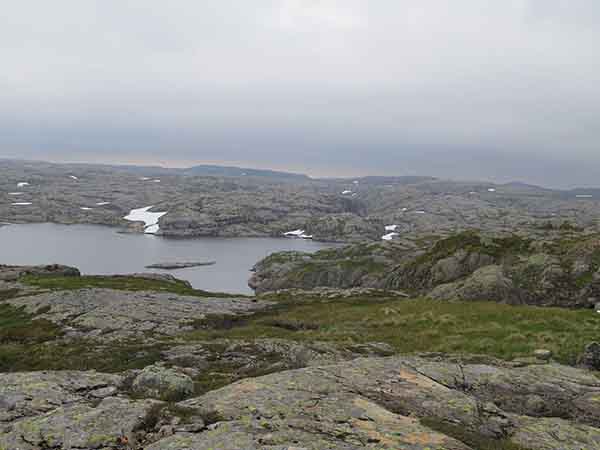 Image description