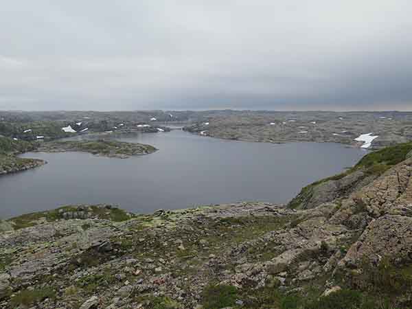 Image description