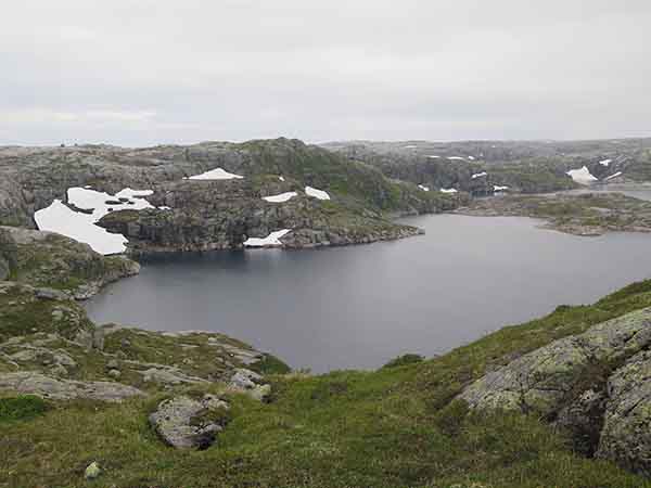Image description