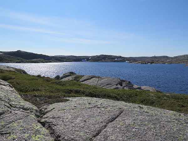 Image description