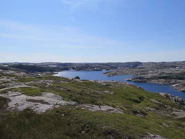 Image description