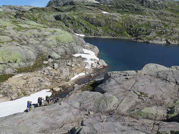 Image description
