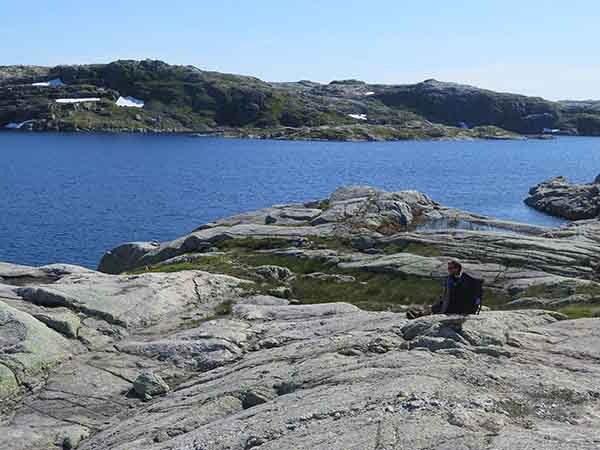 Image description