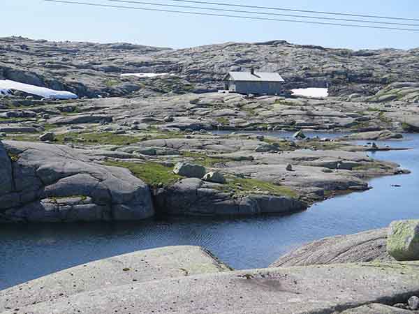 Image description