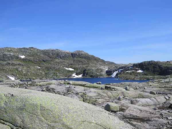 Image description