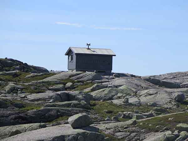 Image description
