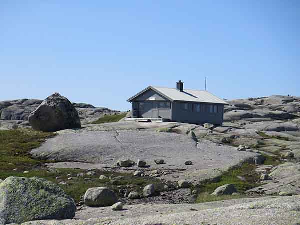 Image description