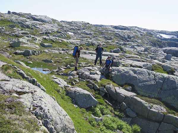 Image description
