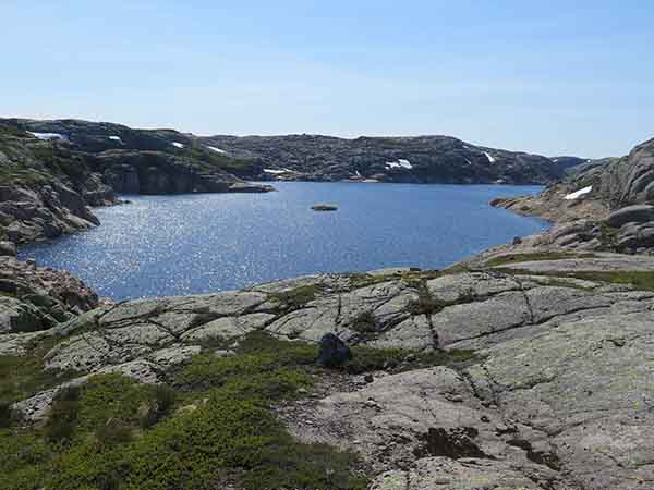 Image description