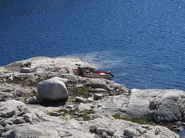 Image description