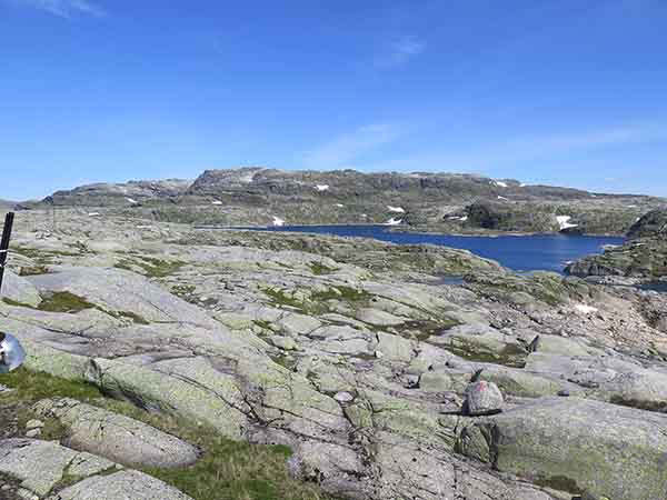 Image description