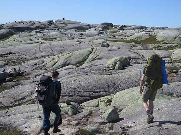 Image description