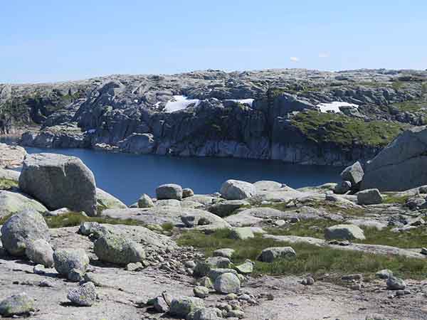 Image description