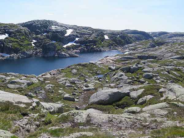 Image description