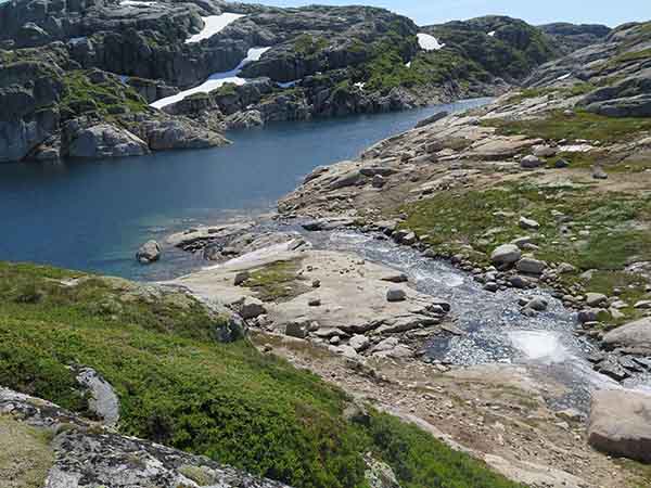 Image description