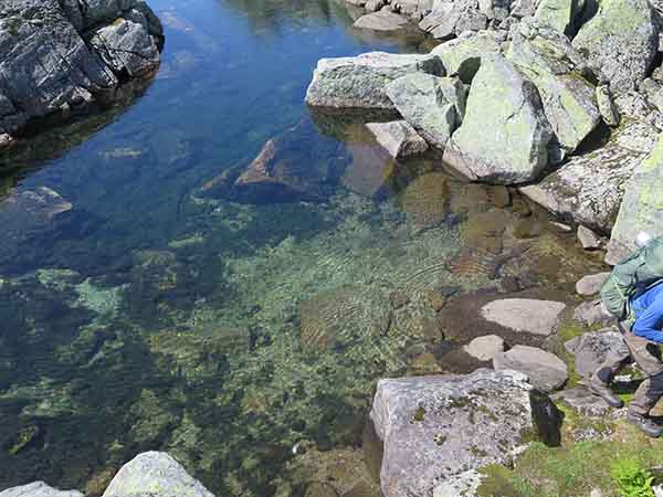 Image description
