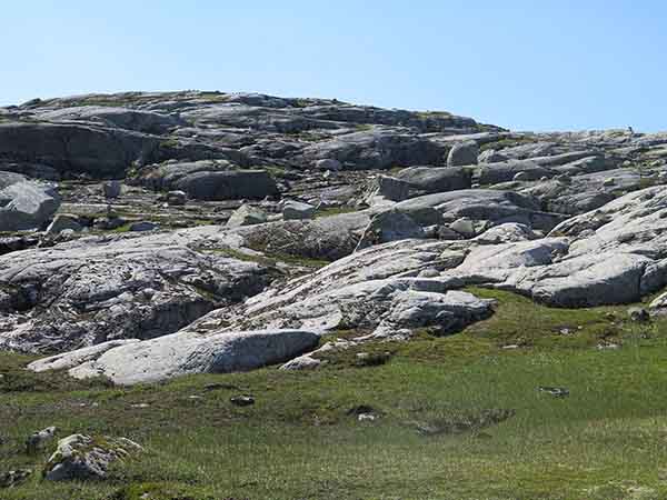 Image description