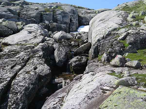 Image description