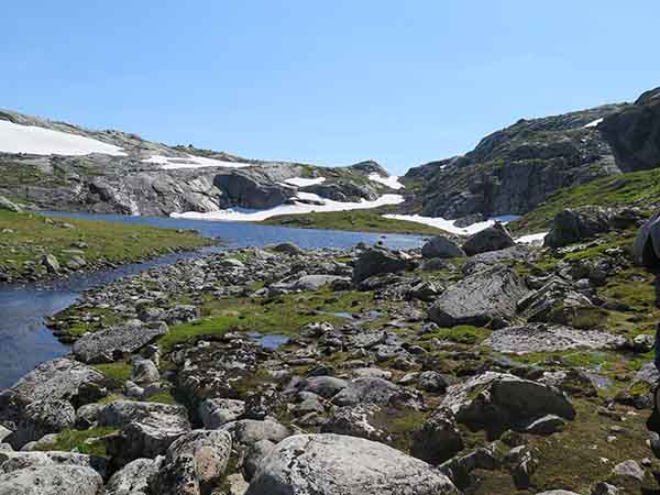 Image description