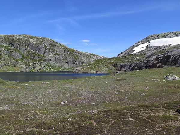 Image description